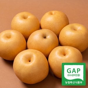 농부들의수확 [24년 햇배][유명산지][GAP인증]나주배 가정용 특품 5kg 10-12과