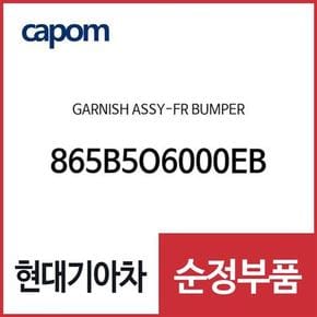 가니쉬 프론트 범퍼 (865B5O6000EB) 캐스퍼