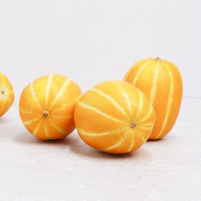 달콤한 과즙이 듬뿍 성주참외 정품 2.5kg(중과) 6-12과 내외