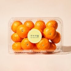  중문 카라향 1.4kg/팩
