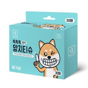 애완용품 브리더랩 똑똑똑 양치티슈 30매