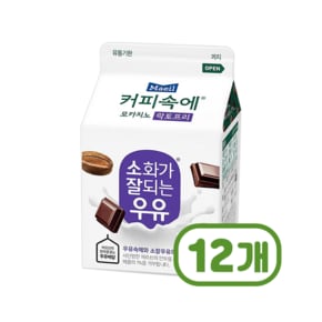 매일 커피속에 모카치노 락토프리 팩우유 300ml x 12개