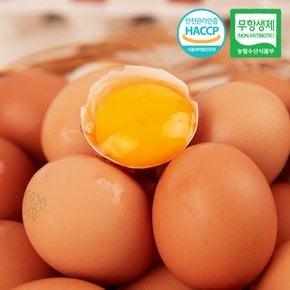 국내산 무항생제 당일산란 특란 30구