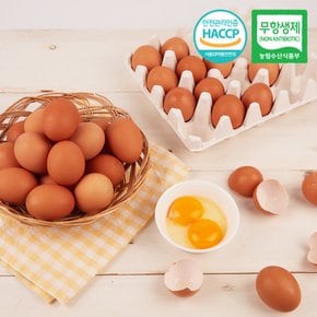 국내산 무항생제 당일산란 특란 30구
