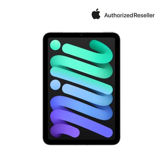 애플 (예약) 아이패드 미니 7세대 셀룰러 mini Wi-Fi + Cellular 128GB 스페이스 그레이 MXPN3KH/A