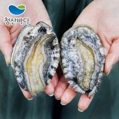 [9/6(금)순차출고][청산바다] 완도 활전복 대복 9-10미 1kg (선물포장가능)