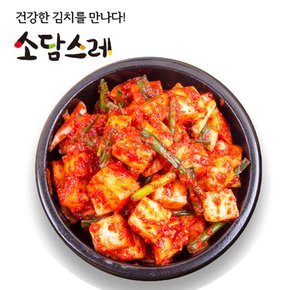 소담스레 국내산 김치 깍두기 2kg