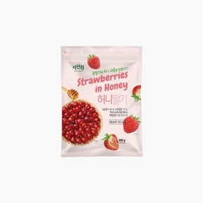 자연원 냉동 허니 딸기 500g