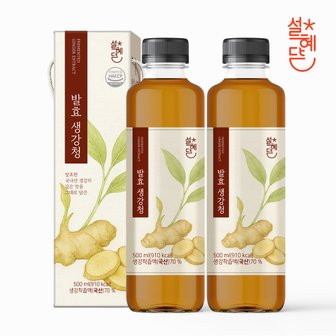 홀라이프 설혜담 발효생강청 500ml x 2병