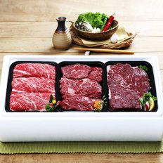 [냉장][안동안심한우] 실속 1호세트 1.5kg (1등급/불고기500g+국거리500g+장조림500g)