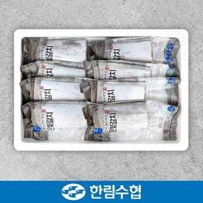 [제주 한림수협] 제주직송 제주 특大 은갈치 3마리 세트(은갈치 600g x 3팩)