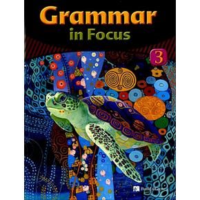 Grammar in Focus 그래머 인 포커스 3