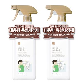 깔끔말끔 대용량 욕실세정제 750ml x 2개