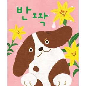 카드10%) 반짝