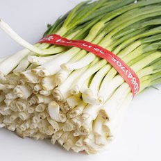 지투지샵 깐쪽파 500g