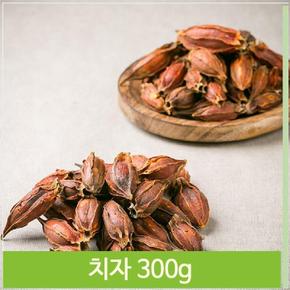 통 치자 300g 약초 천연색소 치자차 치자밥 중국산 (S7564500)