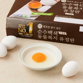 동물복지 유정란 등 계란 행사