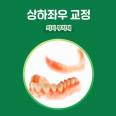 폴리덴트 후레쉬 민트  의치부착재 접착제 70g