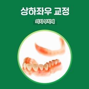 폴리덴트 후레쉬 민트  의치부착재 접착제 70g