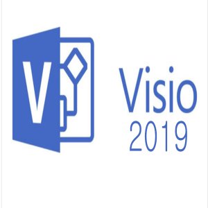  MS Visio Professional 2019  license