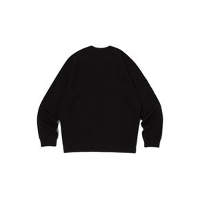 [23SS] [BEST][EU] Crewneck Sweatshirts (BLACK) CKTS3ES31BK