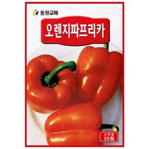 오렌지 파프리카씨앗 20립  피망씨앗