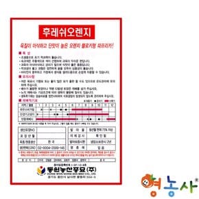 오렌지 파프리카씨앗 20립  피망씨앗