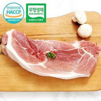 웰굿 [아우내축산]무항생제HACCP 1등급 한돈 앞다리살 수육용 300g