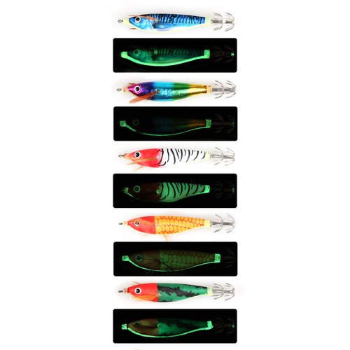 이미지5