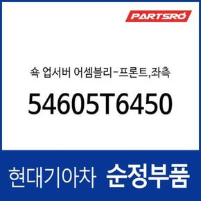 프론트 쇼크업소버(쇼바),좌측 (54605T6450) 제네시스 GV80