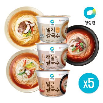  청정원 컵쌀국수 92g x 5개/해물/멸치/얼큰