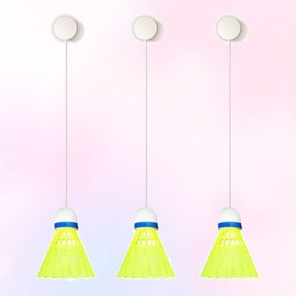 확대된 대표 image1