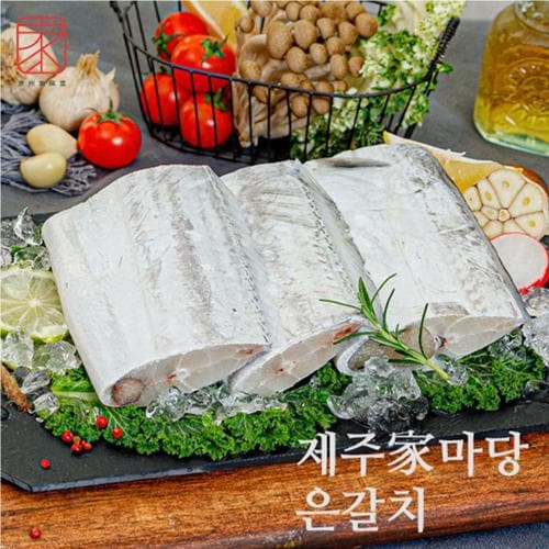이미지 DP