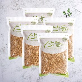 [명절 후 배송] [산담들담] 우리잡곡 국내산 호라산밀 1kgx5팩(5kg)