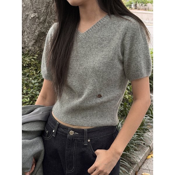 Raccoon V-Neck Tuck Sleeve Knit Grey AT5SWF027GE