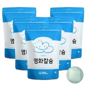 염화칼슘1kg 5개+방수투습지8장_