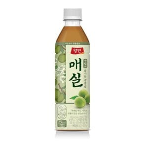 양반 매실차 500ml 24입