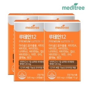 프리미엄 루테인12 베타카로틴 비타민 4박스(4개월분)