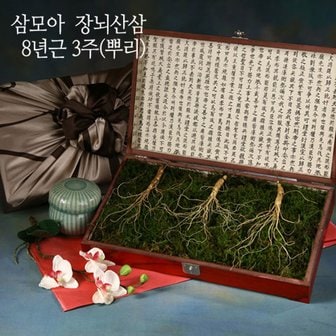 삼모아농장 삼모아 장뇌산삼(산양산삼) 8년근 3뿌리(효도선물세트)/고가구케이스+실크보자기포장