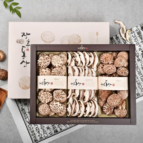 이미지 P