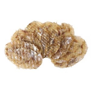 너트리 참쥐포 대 300g M사이즈 (12~15미)