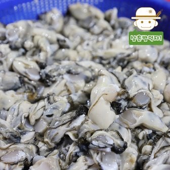  [통영직송] 우윳빛깔 통통한 통영 생 깐굴 500g