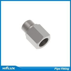 파이프 피팅 (Pipe Fitting) - Adapter (ADRN) - 1/8 PT-1/8 NPT