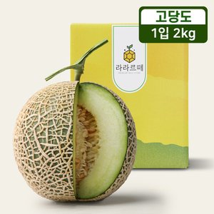 라라르떼 과즙가득 머스크 멜론 2kg 선물세트 (1입)