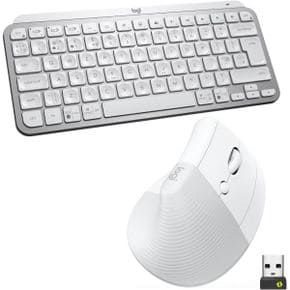 영국 로지텍 리프트 Logitech MX Keys Mini Keyboard and Lift Vertical Ergonomic Mouse Combo