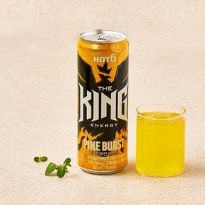 핫식스 더킹 파인버스트 355ml
