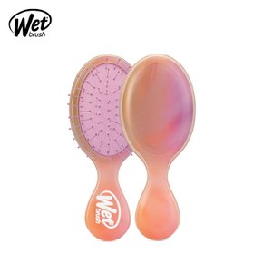 wet brush 미니 디탱글러 디저트애프터글로우 헤어 드라이 브러쉬 극손상모 두피 마사지 머리 빗