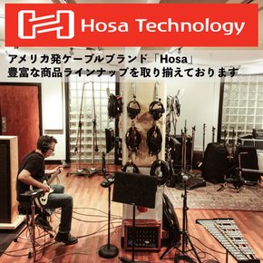 Hosa HPR-003X2 91cm 모노럴 폰 플러그×2-RCA×2 오디오 케이블