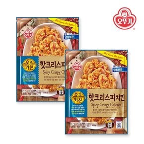 오즈키친 핫크리스피치킨 500g x 2개