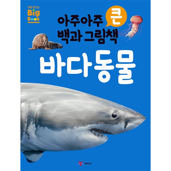 대표이미지